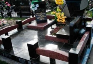 gallery/ograda_mram